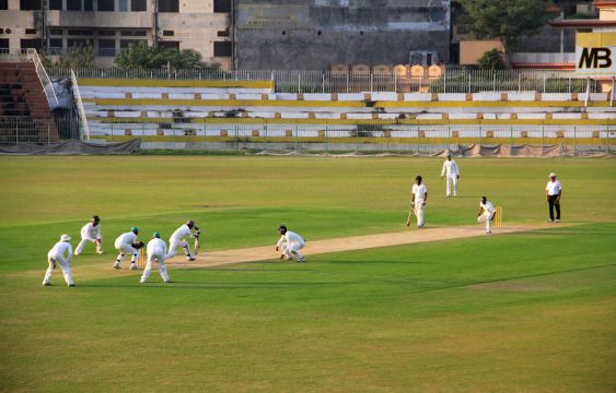 cricket game